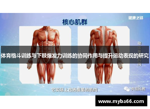 体育格斗训练与下肢爆发力训练的协同作用与提升运动表现的研究